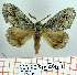  ( - Str-265)  @13 [ ] Unspecified (default): All Rights Reserved  Str-265 Unspecified