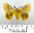  ( - VZ-VARIA-13)  @13 [ ] Unspecified (default): All Rights Reserved  Unspecified Unspecified