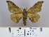  ( - 2011.131)  @12 [ ] Unspecified (default): All Rights Reserved  Unspecified Unspecified