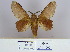  ( - 2011.202)  @13 [ ] Unspecified (default): All Rights Reserved  Unspecified Unspecified