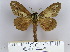  ( - 2011.227)  @13 [ ] Unspecified (default): All Rights Reserved  Unspecified Unspecified