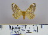  (Cotana sp2 - 2011.260)  @11 [ ] Unspecified (default): All Rights Reserved  Unspecified Unspecified
