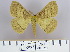  ( - 2011.284)  @14 [ ] Unspecified (default): All Rights Reserved  Unspecified Unspecified