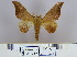  ( - 2011.304)  @11 [ ] Unspecified (default): All Rights Reserved  Unspecified Unspecified