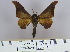  ( - 2011.305)  @13 [ ] Unspecified (default): All Rights Reserved  Unspecified Unspecified