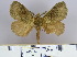  ( - 2011.311)  @14 [ ] Unspecified (default): All Rights Reserved  Unspecified Unspecified
