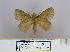  (Euthrix sondensis - 2011.332)  @14 [ ] Unspecified (default): All Rights Reserved  Unspecified Unspecified