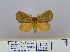  ( - 2011.415)  @13 [ ] Unspecified (default): All Rights Reserved  Unspecified Unspecified