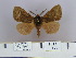  ( - 2011.497)  @13 [ ] Unspecified (default): All Rights Reserved  Unspecified Unspecified