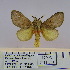  ( - 2011.531)  @14 [ ] CreativeCommons - Attribution Non-Commercial Share-Alike (2015) Unspecified SNSB, Zoologische Staatssammlung Muenchen
