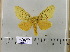  ( - 2011-579)  @13 [ ] Unspecified (default): All Rights Reserved  Unspecified Unspecified