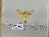  ( - 2011-597)  @12 [ ] Unspecified (default): All Rights Reserved  Unspecified Unspecified