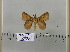  (Leipoxais pr. ituria - 2011-635)  @14 [ ] Unspecified (default): All Rights Reserved  Unspecified Unspecified