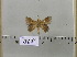  (Leipoxais pr. acharis - 2011-640)  @13 [ ] Unspecified (default): All Rights Reserved  Unspecified Unspecified