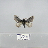  ( - 2011.776)  @12 [ ] Unspecified (default): All Rights Reserved  Unspecified Unspecified