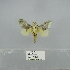  ( - 2011.780)  @14 [ ] Unspecified (default): All Rights Reserved  Unspecified Unspecified