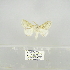  ( - 2011.807)  @13 [ ] Unspecified (default): All Rights Reserved  Unspecified Unspecified