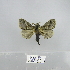  ( - 2011.831)  @14 [ ] Unspecified (default): All Rights Reserved  Unspecified Unspecified