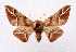  ( - LBEOW-21)  @13 [ ] Unspecified (default): All Rights Reserved  Unspecified Unspecified