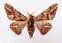  ( - LBEOW-25)  @14 [ ] Unspecified (default): All Rights Reserved  Unspecified Unspecified