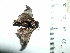  ( - VZ-BOMBC-33)  @12 [ ] Unspecified (default): All Rights Reserved  Unspecified Unspecified