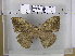  ( - EUPT-11-095)  @12 [ ] Unspecified (default): All Rights Reserved  Unspecified Unspecified