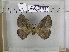  ( - EUPT-11-121)  @13 [ ] Unspecified (default): All Rights Reserved  Unspecified Unspecified