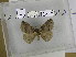  ( - EUPT-11-130)  @12 [ ] Unspecified (default): All Rights Reserved  Unspecified Unspecified
