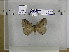  ( - EUPT-11-132)  @12 [ ] Unspecified (default): All Rights Reserved  Unspecified Unspecified