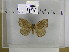  ( - EUPT-11-148)  @12 [ ] Unspecified (default): All Rights Reserved  Unspecified Unspecified