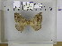  ( - EUPT-11-149)  @12 [ ] Unspecified (default): All Rights Reserved  Unspecified Unspecified