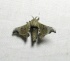  ( - VZ-BOMBC-45)  @12 [ ] Unspecified (default): All Rights Reserved  Unspecified Unspecified