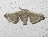  ( - VZ-BOMBC-46)  @12 [ ] Unspecified (default): All Rights Reserved  Unspecified Unspecified