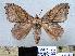  (Arguda thaica - LAS-DR 23)  @14 [ ] Unspecified (default): All Rights Reserved  Unspecified Unspecified