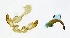  ( - LAS-DR 99)  @12 [ ] Unspecified (default): All Rights Reserved  Unspecified Unspecified