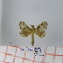  (Bombycopsis sp. 13 - Str-076)  @13 [ ] Unspecified (default): All Rights Reserved  Unspecified Unspecified