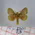  (Bombycopsis sp. 15 - Str-078)  @14 [ ] Unspecified (default): All Rights Reserved  Unspecified Unspecified