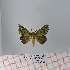  ( - Str-176)  @13 [ ] Unspecified (default): All Rights Reserved  Unspecified Unspecified