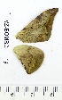  ( - VZ-BOMBC-19)  @12 [ ] Unspecified (default): All Rights Reserved  Unspecified Unspecified
