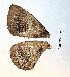  ( - VZ-EUPTER-10)  @12 [ ] Unspecified (default): All Rights Reserved  Unspecified Unspecified