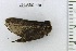  ( - VZ-LASIO-180)  @12 [ ] Unspecified (default): All Rights Reserved  Unspecified Unspecified
