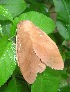  ( - VZ-LASIO-204)  @12 [ ] Unspecified (default): All Rights Reserved  Unspecified Unspecified