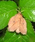  ( - VZ-LASIO-205)  @12 [ ] Unspecified (default): All Rights Reserved  Unspecified Unspecified