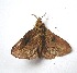  ( - VZ-LASIO-211)  @13 [ ] Unspecified (default): All Rights Reserved  Unspecified Unspecified