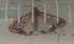  ( - Lep01)  @12 [ ] Unspecified (default): All Rights Reserved  Unspecified Unspecified