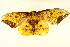  ( - BIOUG01333-B04)  @14 [ ] CreativeCommons - Attribution (2011) CBG Photography Group Centre for Biodiversity Genomics
