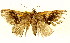  ( - BIOUG01333-B11)  @13 [ ] CreativeCommons - Attribution (2011) CBG Photography Group Centre for Biodiversity Genomics