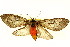  ( - BIOUG01333-E07)  @14 [ ] CreativeCommons - Attribution (2011) CBG Photography Group Centre for Biodiversity Genomics