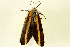  ( - BIOUG01334-F01)  @12 [ ] CreativeCommons - Attribution (2011) CBG Photography Group Centre for Biodiversity Genomics