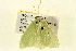  ( - BIOUG01335-A11)  @12 [ ] CreativeCommons - Attribution (2011) CBG Photography Group Centre for Biodiversity Genomics